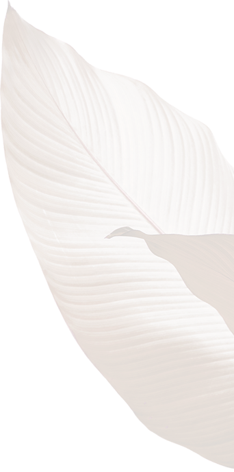Envie Dhair Salon De Coiffure Cogolin Hair Slider Bg 1